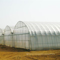 uv polyethylene film for vegetable winter protection